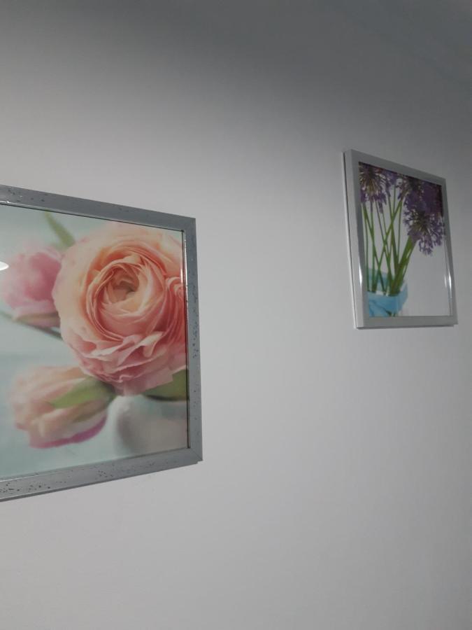 Apartamento Piquinho Machico  Esterno foto